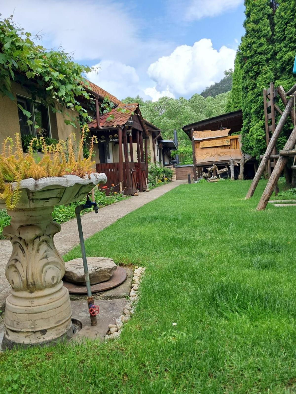Home Of Art Rîşnov Buitenkant foto